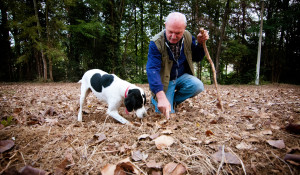 Truffel - Truffels zoeken - Truffelhond - Experience